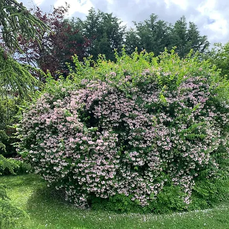 Casa Due Tigli Bed & Breakfast 3*